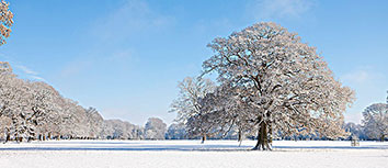 AC米兰遭遇三连败，赛季前景堪忧