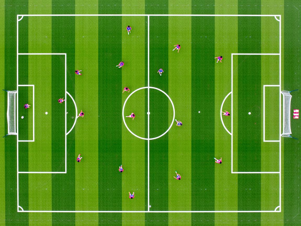 开云体育app下载-2026世界杯球迷关注全部揭晓